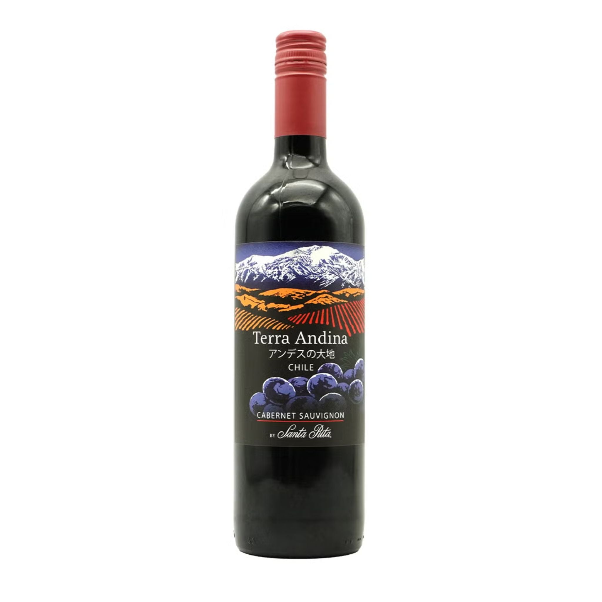 TERRA ANDINA カベルネ・ソーヴィニヨン 750ml – MAHALOH
