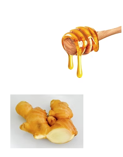 Apisvida はちみつ＋ミント＋ザクロ＋ジンジャー