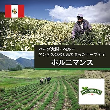 HORNIMANS CANELA Y CLAVO Chá Canela Cravo 25 saquetas