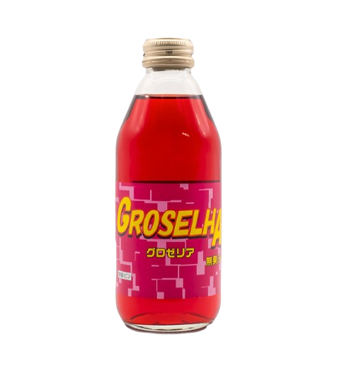 Suco de Groselha 250ml Andou