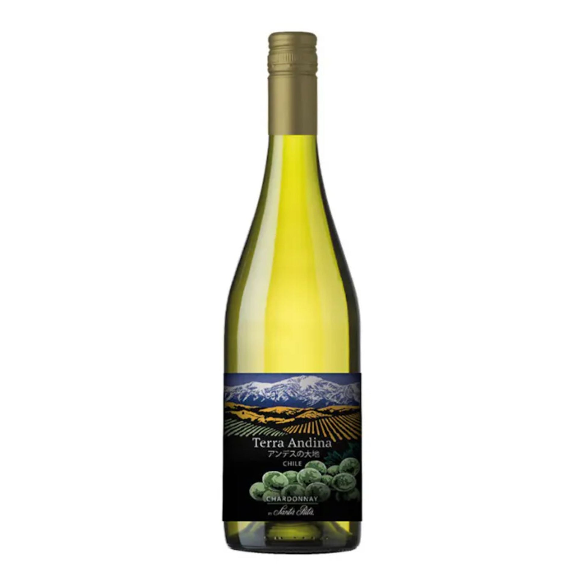 TERRA ANDINA シャルドネ 750ml (サンタ・リタ)