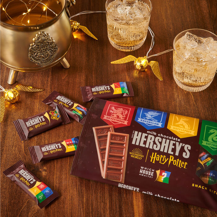 ハリーポッター スナックサイズ ミルクチョコバー